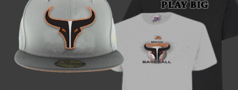 New Longhorn Tee Shirts and Hats!